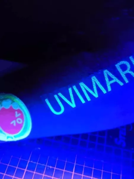 decalques personalizados néon