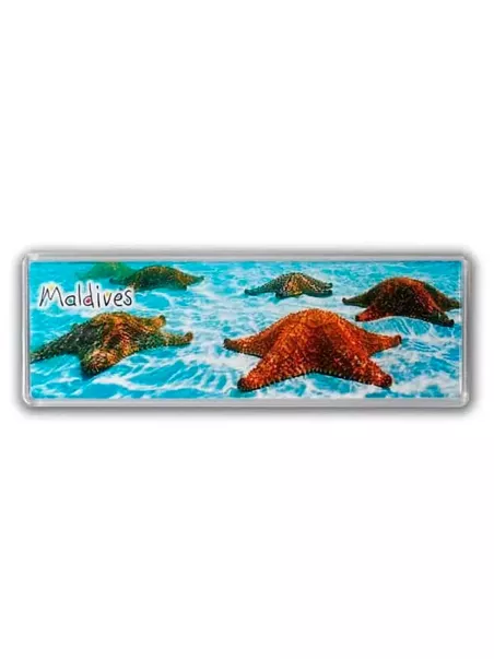 Panoramic acrylic magnets
