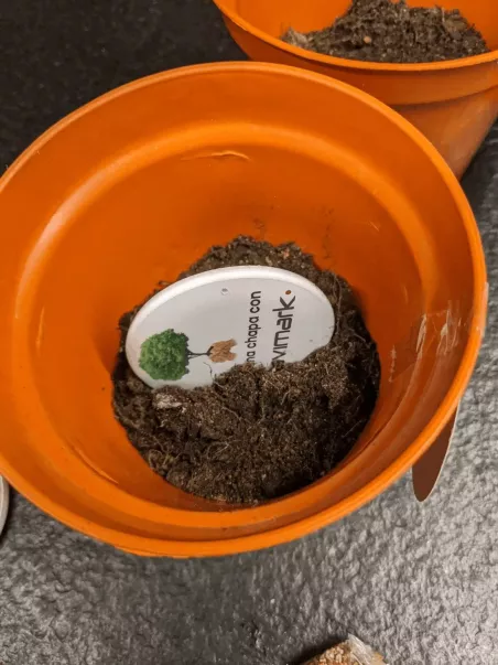 chapas personalizadas para plantar