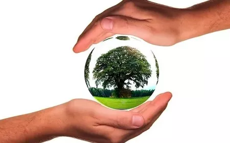 Productos Ecológicos, Corcho y Madera